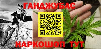 гидра Кингисепп