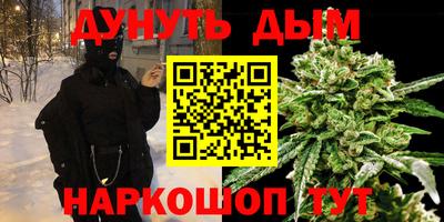 гидра Кингисепп