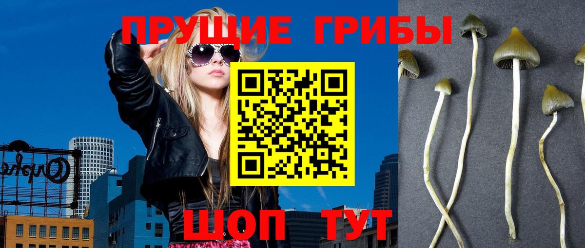 Псилоцибиновые грибы ЛСД  Вход с VPN  Королёв 