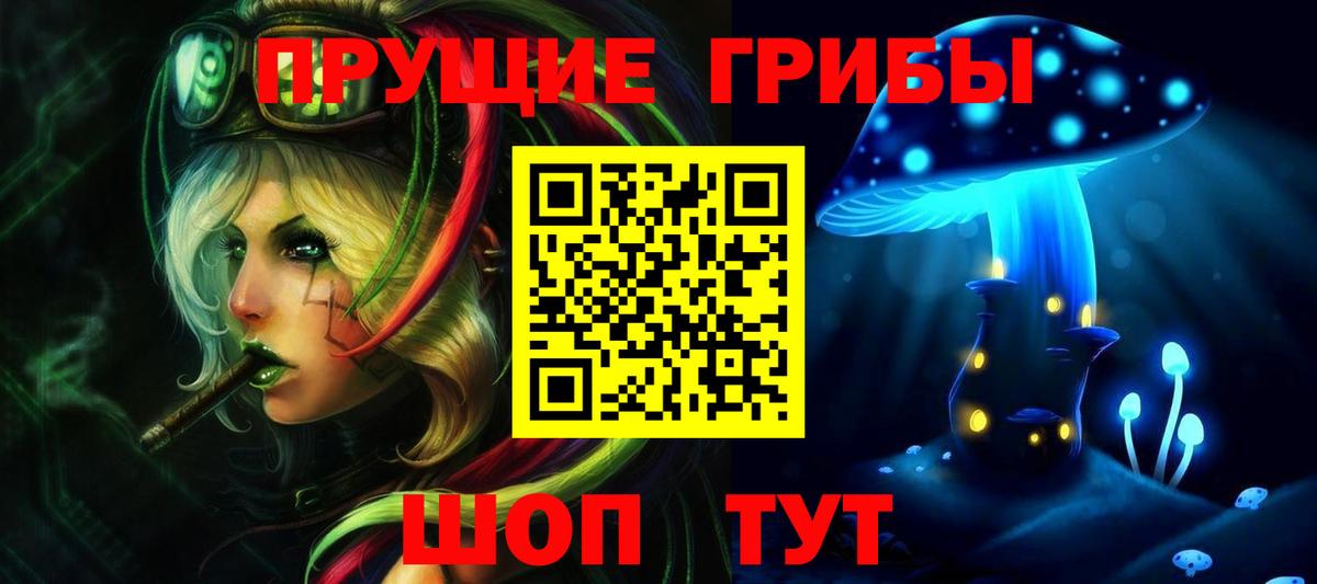 Псилоцибиновые грибы Psilocybine cubensis Королёв